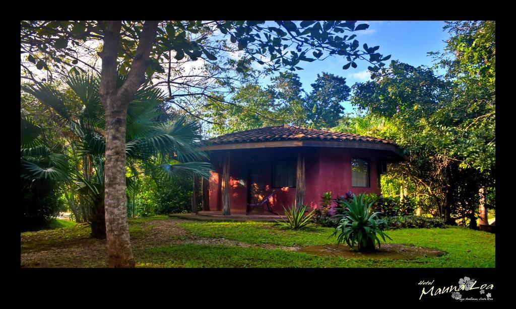 Hotel Mauna Loa Pinilla ห้อง รูปภาพ
