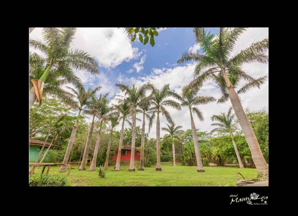 Hotel Mauna Loa Pinilla ภายนอก รูปภาพ