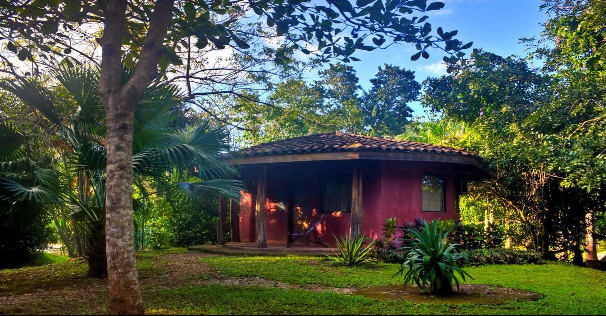 Hotel Mauna Loa Pinilla ภายนอก รูปภาพ